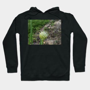 Green Onion Blossom 2 Hoodie